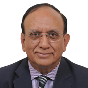 Strategic Advisor - Kapil Kumar Mehan